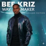 Beecan media - Hallelujah || Amk