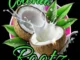 Coconut Rootz – Too Much