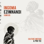 Culture Motion - Ingoma Ezimnandi (iGwijo) || Amk
