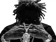 Shallipopi – .com
