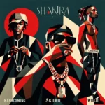 Skiibii - Shakira || Amk