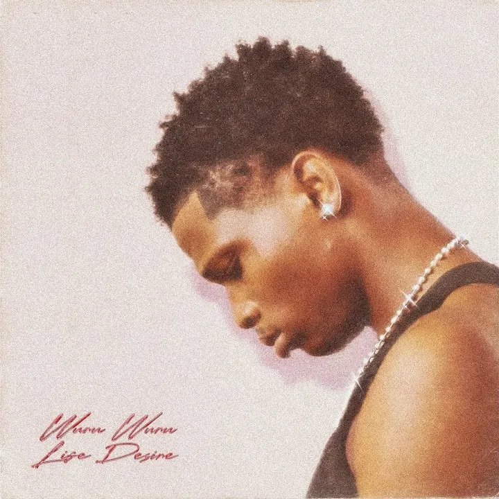 Wizka – Life Desire