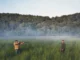 Zach Bryan – Plainsman Ft. Turnpike Troubadours