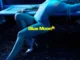 Zara Larsson – Midnight Sun