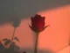 swelavin – Me And U