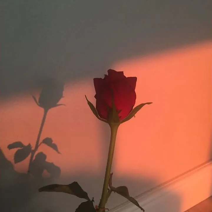 swelavin – Me And U
